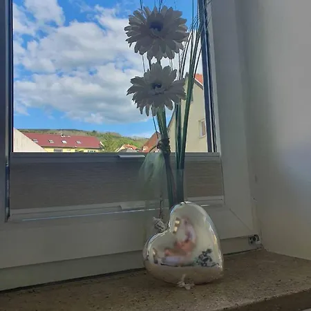 Apartment Blick Punkt Tann (Rhon)
