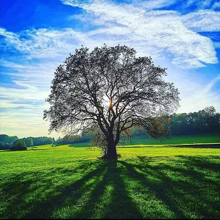 Blick Punkt * Tann (Rhon)