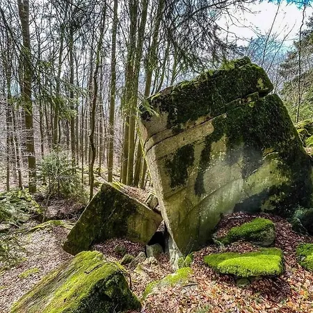 Blick Punkt * Tann (Rhon)